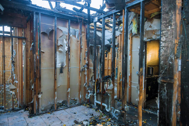 Professional Soot Cleanup technician working in Mallory, WV